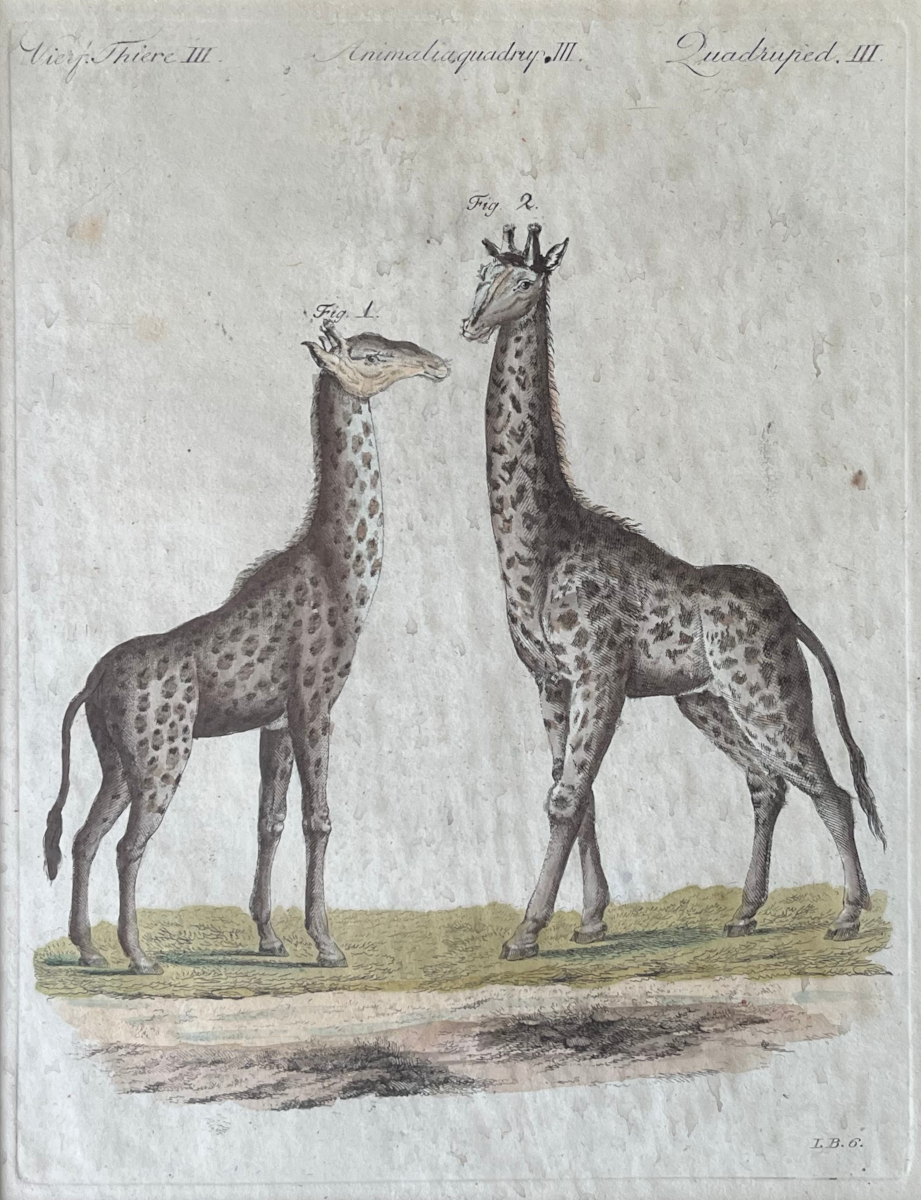 Vierfüssige Tiere