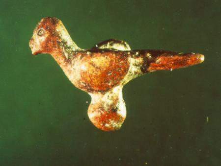 kleinbronze vogel2