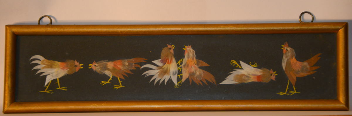 Vogelbild